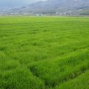 토담농가 이미지