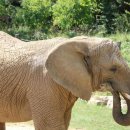 물마루 캠핑장 이미지