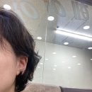 베스코아 이미지