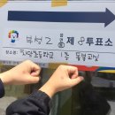 은둥새댁일상 _ 19대 대통령선거 , 블루투스스피커 , 미스터피자 , 쉬림프골드 , 언니쓰2