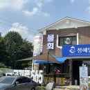 용인 고기리 물회 맛집 청해당 메뉴 추천 후기