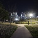 펀펀아트투어