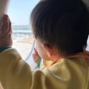 연동365일의원 | 11개월 아기랑 제주도 여행 후기 (걷지 못함)