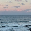 해안로2-R | 이번 주말 여행 어디갈까? 겨울묵호 뚜벅이 여행 1박2일 코스