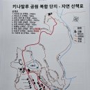 심투어