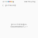 쿠키베어 이미지