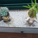 센텀 행정사 사무소 이미지