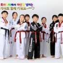 트리니티 태권도 이미지