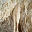 칼즈배드 이미지