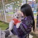 [양주] 풀멍 방문 후기 ᕬᕬ ༘♡