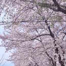 유진목장밀크팩토리