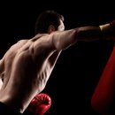 복싱팩토리 이미지