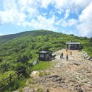 10/17 (토) 지리산 노고단 신비스런 운해 언제 볼 수 있을까 ? 단풍 야생화 보너스 이미지