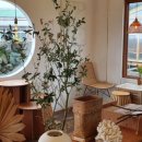 오리도니 이미지