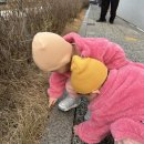 올래어린이집 | 22개월 쌍둥이 설연휴 육아일상 기록