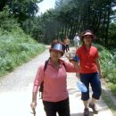 백양산임도(1) 이미지