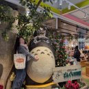 새대웅사약국 | 후쿠오카 온천여행 4박5일 - 4일차, 이와타야 백화점 쇼핑 (feat. 이세이미야케 쇼핑팁), 키르훼봉 카페...