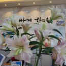 지리산쌍계한의원 이미지