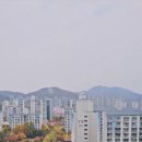 샤크존스크린골프