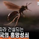 개미공사