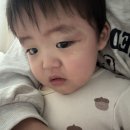 휴직맘 어제 일상-사고뭉치 아들램과 가정보육쓰 | 숟가락 적응기 | 베라 크린티 킷캣 후기