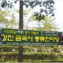 금곡사