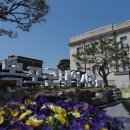 해안로 229번길 이미지