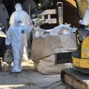 김영환농장 이미지