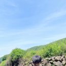 아모르파티