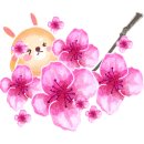 멍멍멍 애견카페 네이버블로그