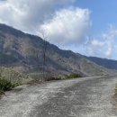 정금마을 차밭 앞 이미지