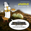 다산농장 이미지