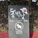 동박낭 제주도 서귀포 동백꽃명소 셀프카페 내돈내산 솔직후기