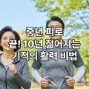 내 몸이 젊어지는 노화방지 스트레칭 | 늘 피곤한 중년? 이것 하나로 10년 젊어지는 기적의 활력 비법