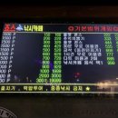 죠스실내낚시카페 신갈점