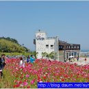 간절곶 풍차 이미지