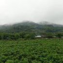 범아주유소 이미지