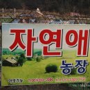 자연애농장 이미지