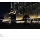 [14주차/합주] 꿈은 이루어진다⭐ - 메리오케스트라 청춘 11기 심포니 비올라 후기