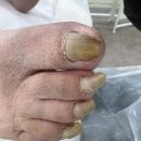 레푸스 앤 두두뷰티