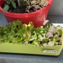 고기친구 이미지