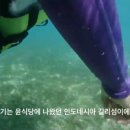 콩블리마켓