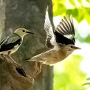 탑동농장 이미지