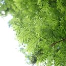 보리약국 이미지