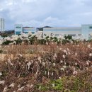 가락1리 이미지