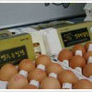 소백환경 이미지