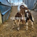 제이목장 이미지