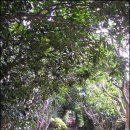 공곶이 언덕 이미지