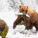 하루,한끼 이미지