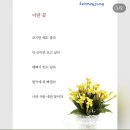 너란꽃
